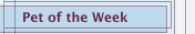 Pet of the Week