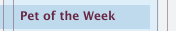Pet of the Week